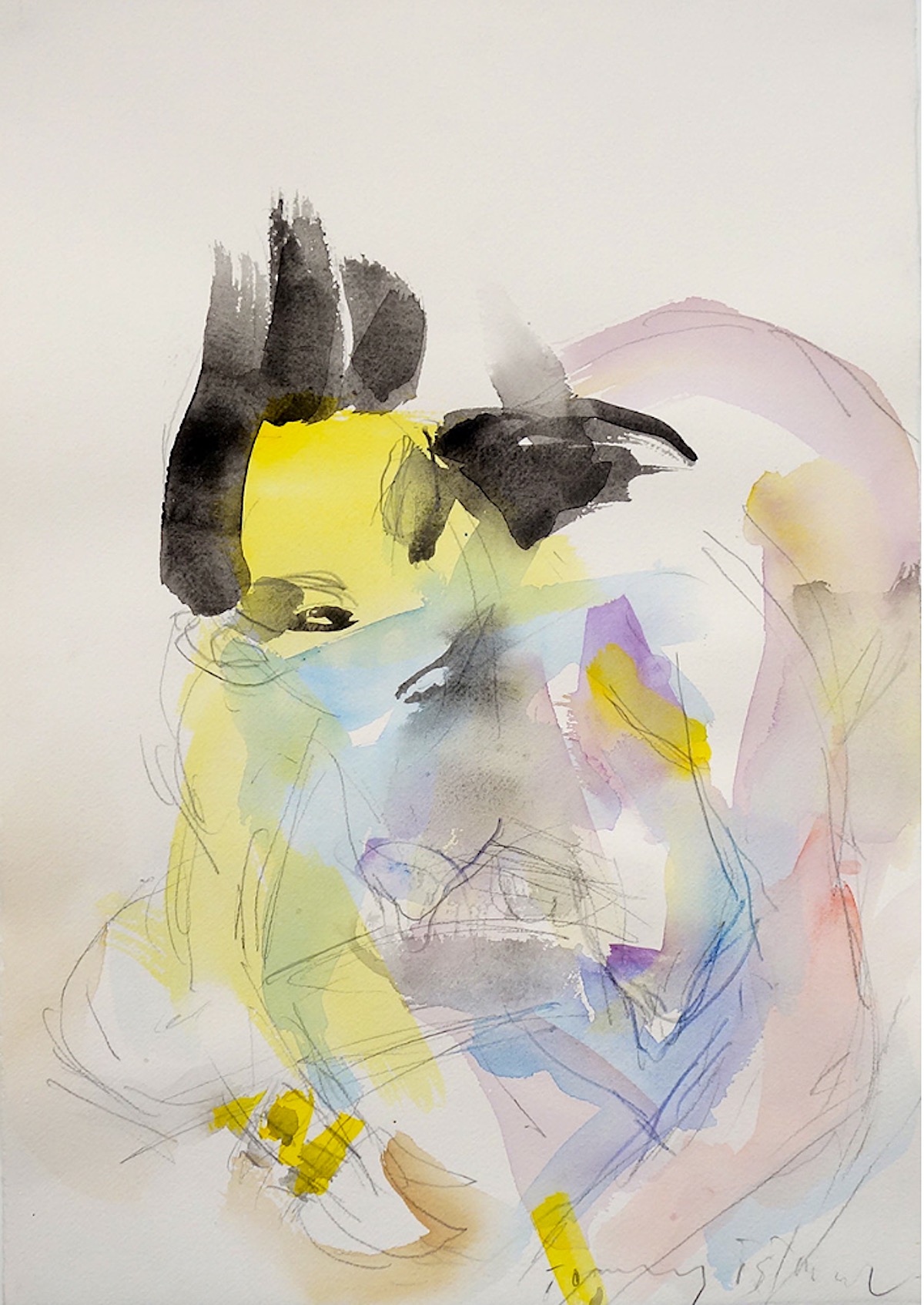 Tommy Östmar akvarell