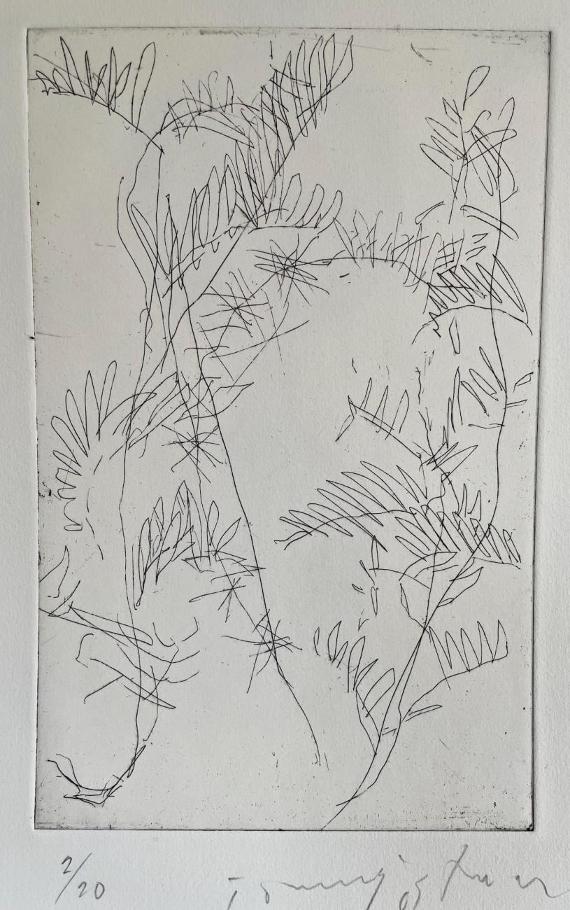 Etsning, Växt, 25 x 16 cm